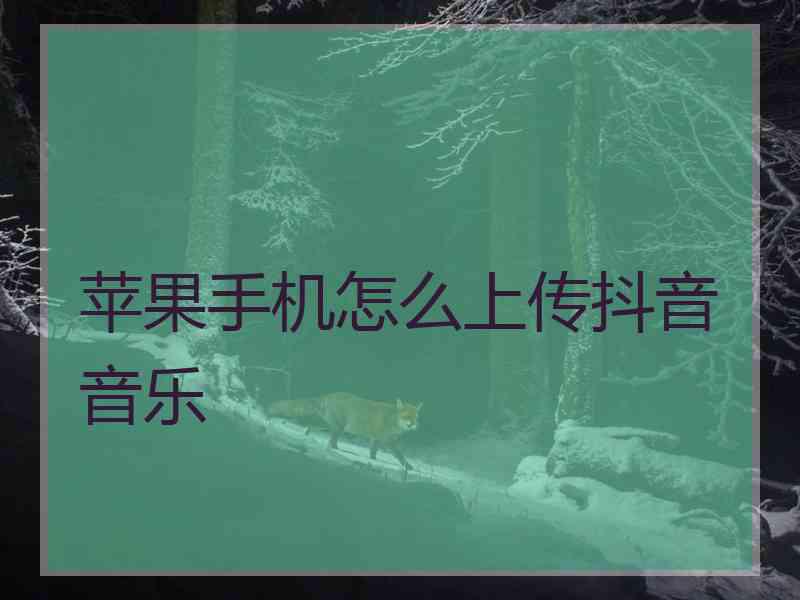苹果手机怎么上传抖音音乐