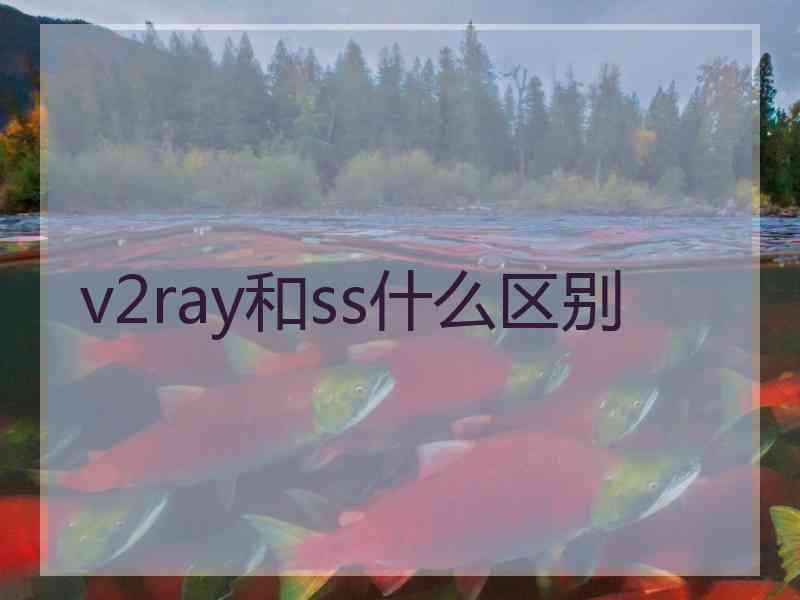 v2ray和ss什么区别