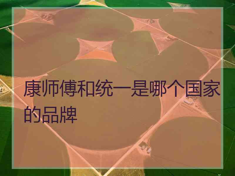 康师傅和统一是哪个国家的品牌