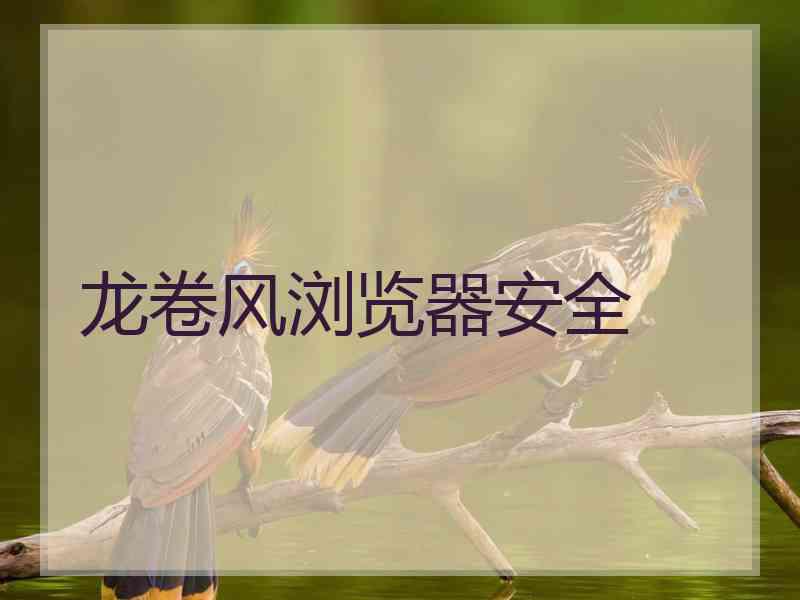 龙卷风浏览器安全