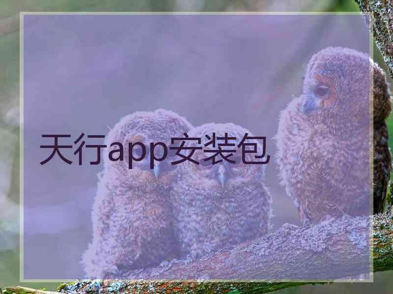 天行app安装包