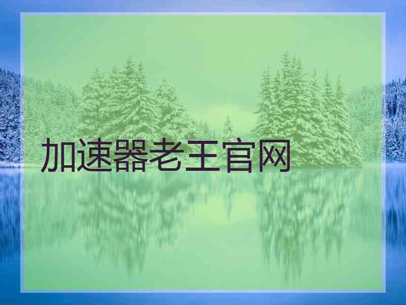 加速器老王官网