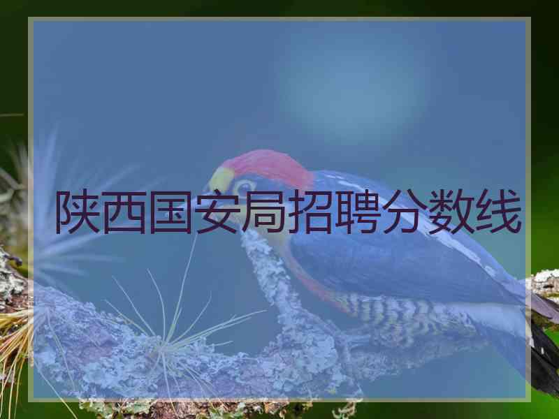 陕西国安局招聘分数线