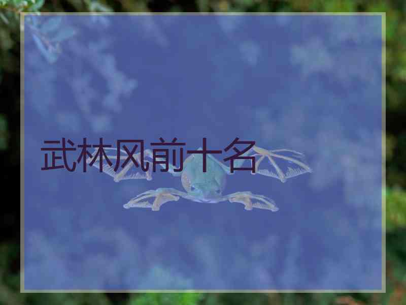 武林风前十名