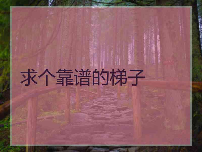求个靠谱的梯子