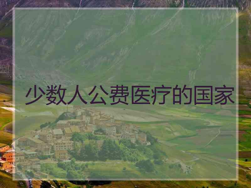 少数人公费医疗的国家