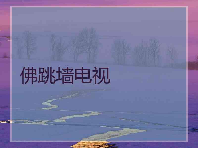 佛跳墙电视