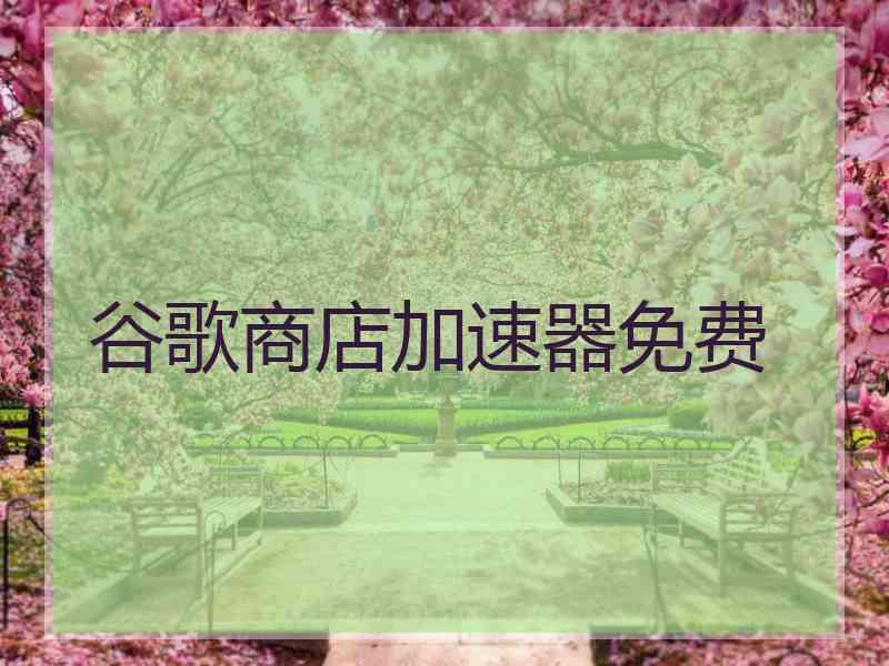 谷歌商店加速器免费