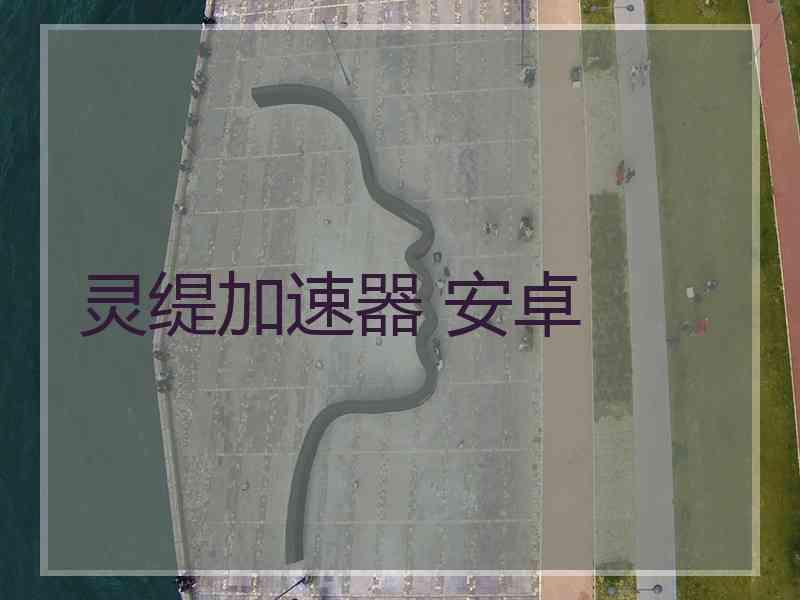 灵缇加速器 安卓