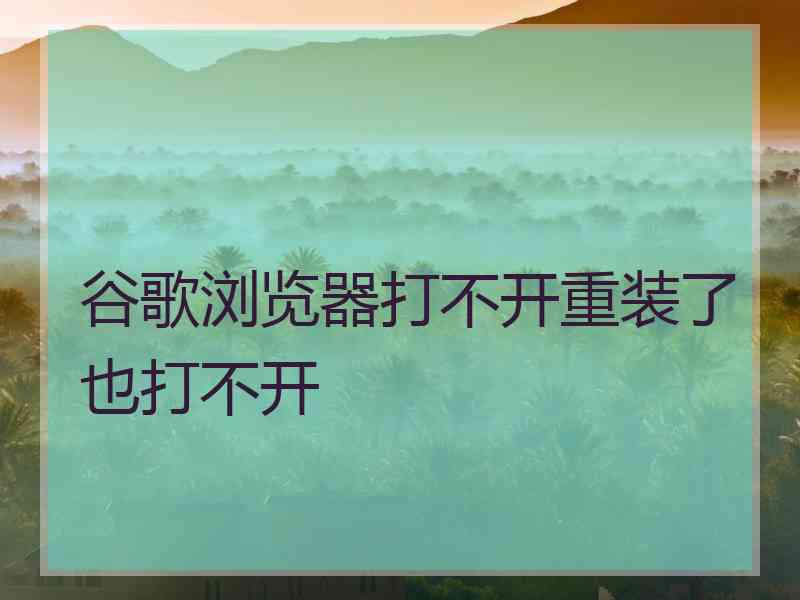 谷歌浏览器打不开重装了也打不开