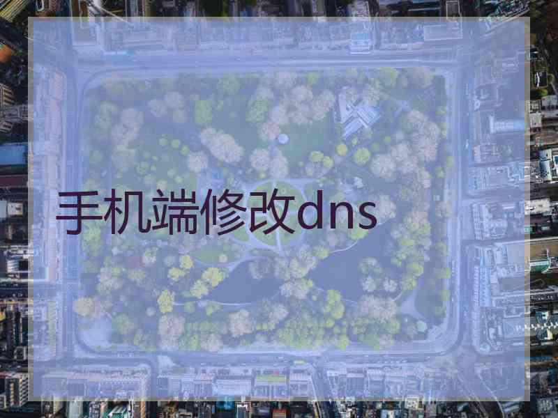 手机端修改dns