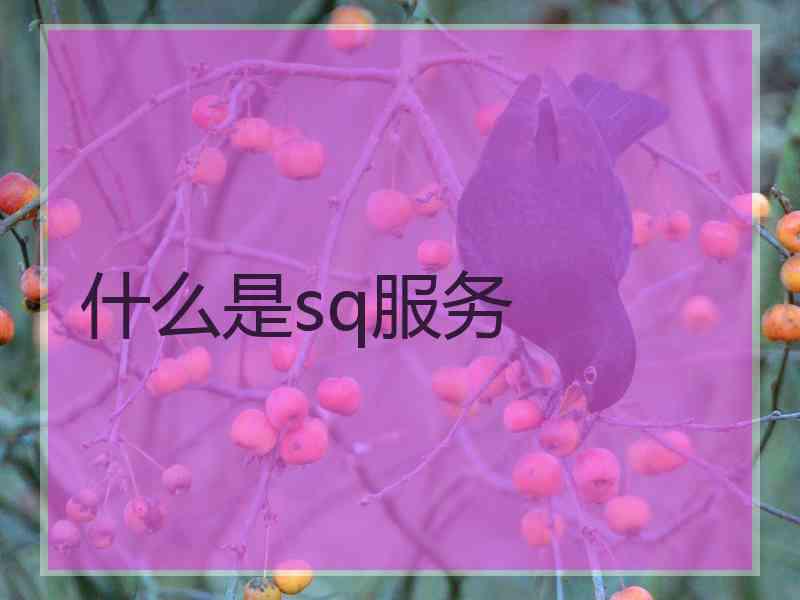 什么是sq服务