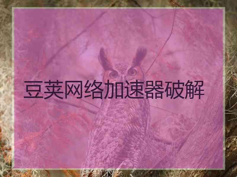 豆荚网络加速器破解