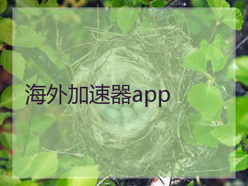 海外加速器app