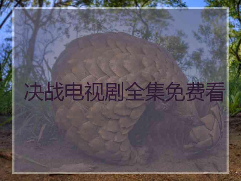 决战电视剧全集免费看