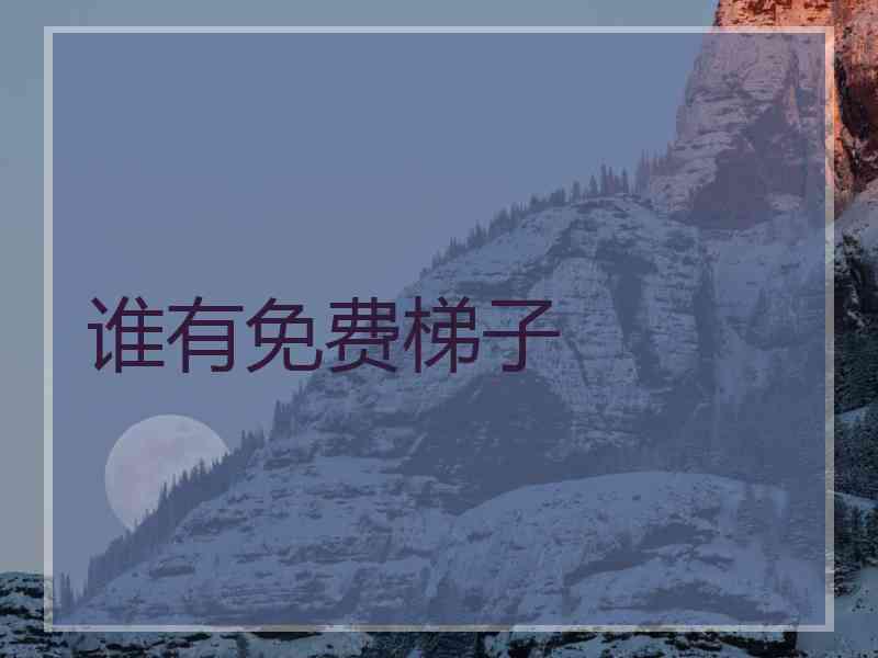 谁有免费梯子