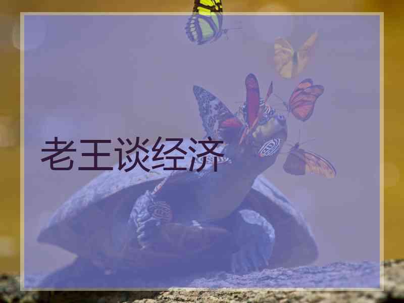 老王谈经济
