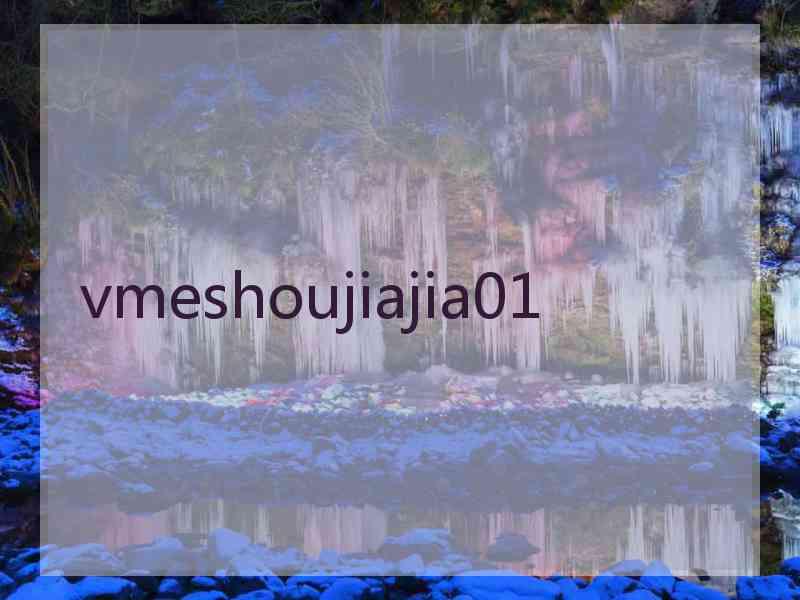 vmeshoujiajia01