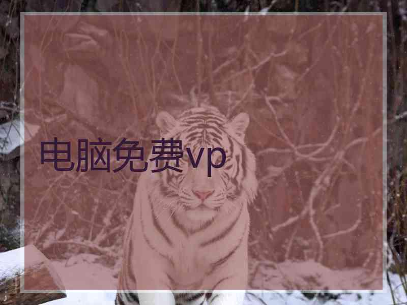 电脑免费vp