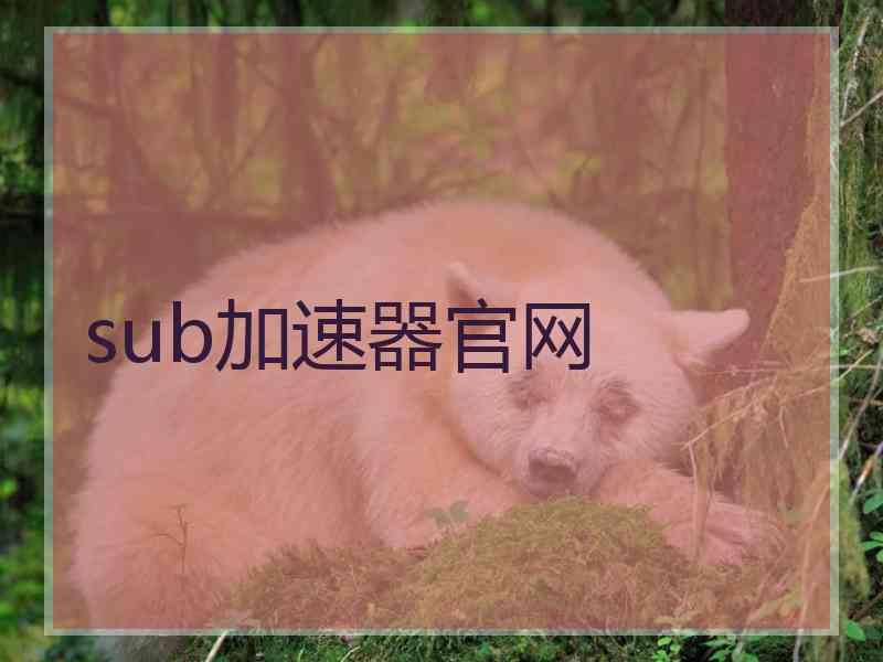 sub加速器官网
