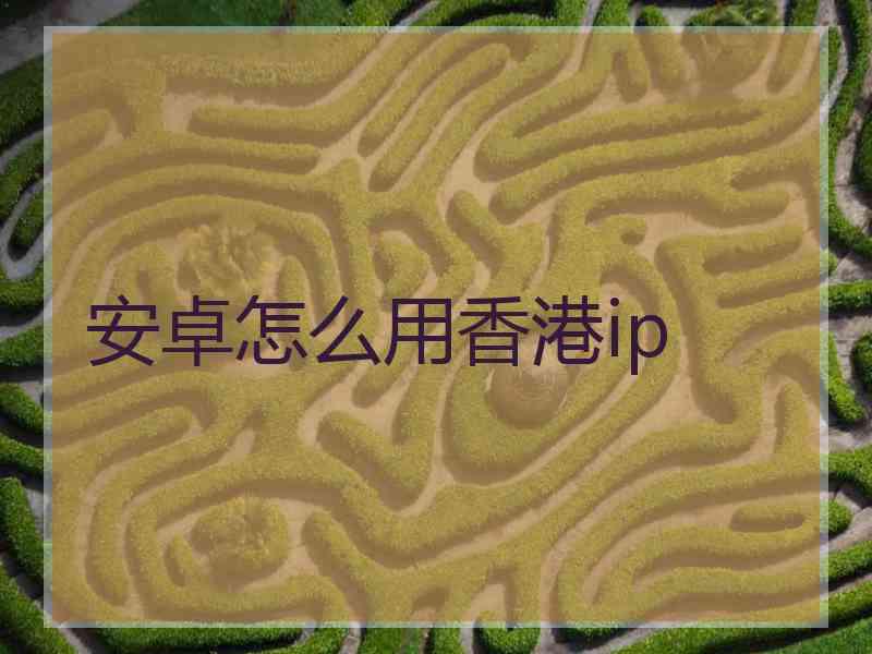 安卓怎么用香港ip