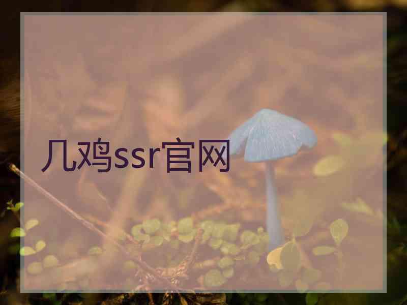 几鸡ssr官网