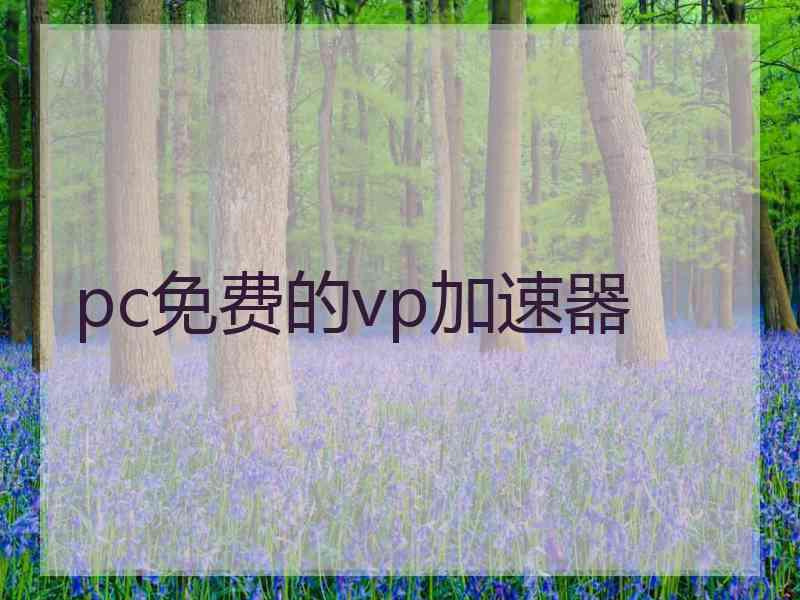 pc免费的vp加速器