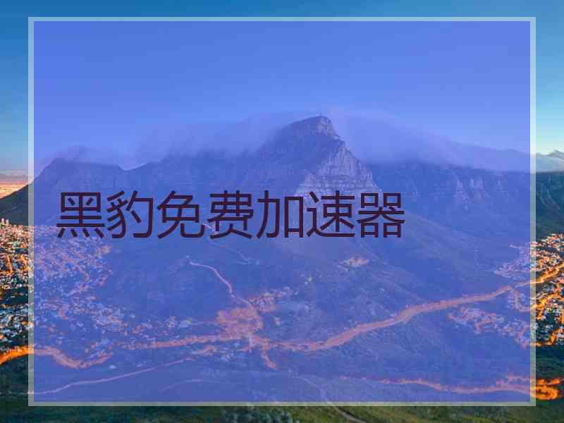黑豹免费加速器