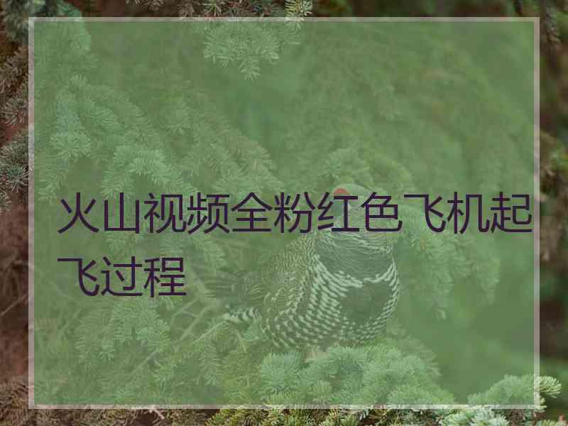 火山视频全粉红色飞机起飞过程