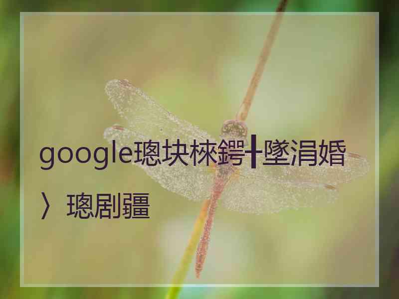 google璁块棶鍔╂墜涓婚〉璁剧疆