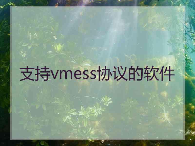 支持vmess协议的软件