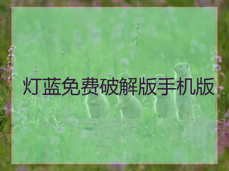 灯蓝免费破解版手机版