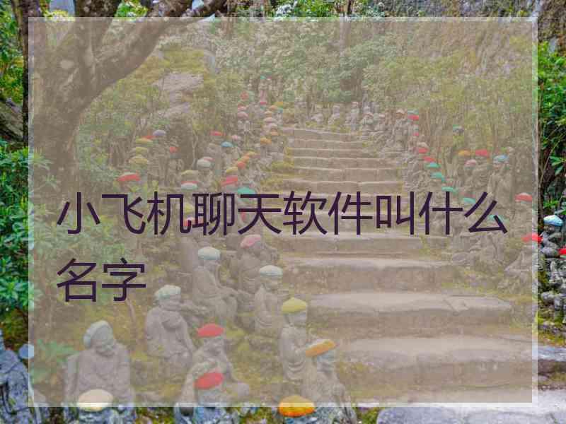 小飞机聊天软件叫什么名字