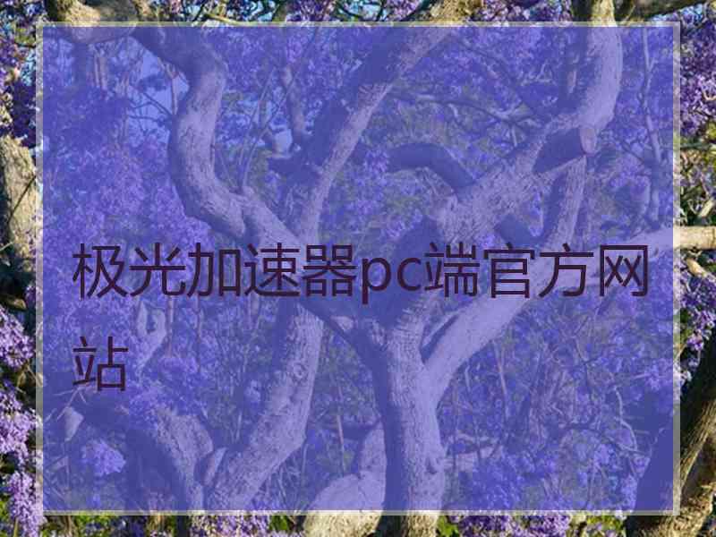 极光加速器pc端官方网站