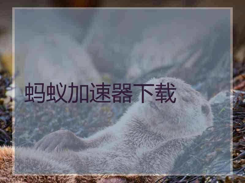 蚂蚁加速器下载