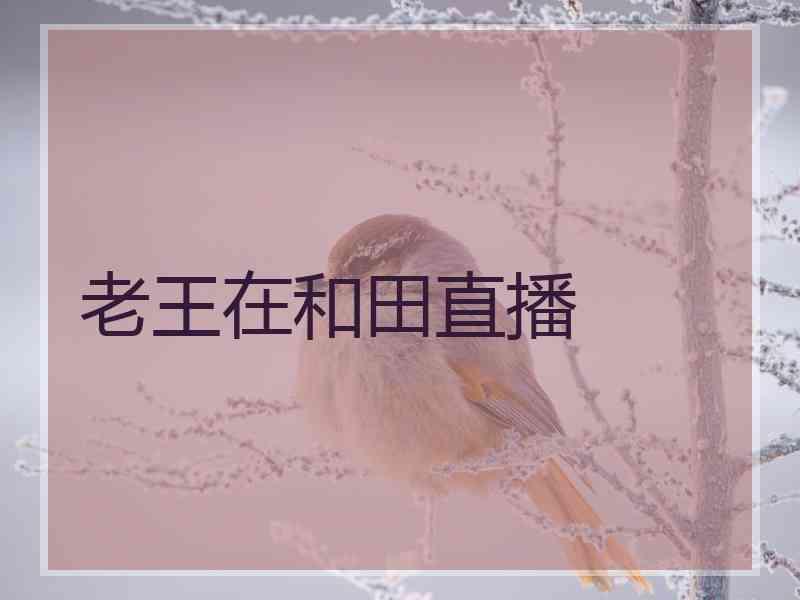 老王在和田直播