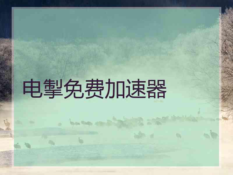 电掣免费加速器