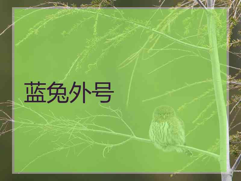 蓝兔外号