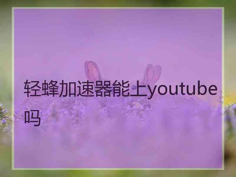 轻蜂加速器能上youtube吗