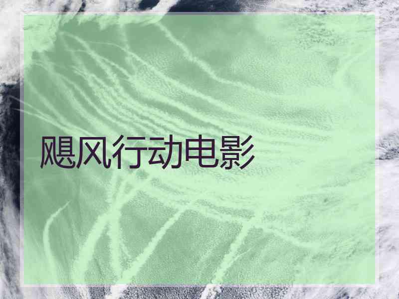 飓风行动电影