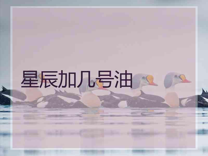 星辰加几号油