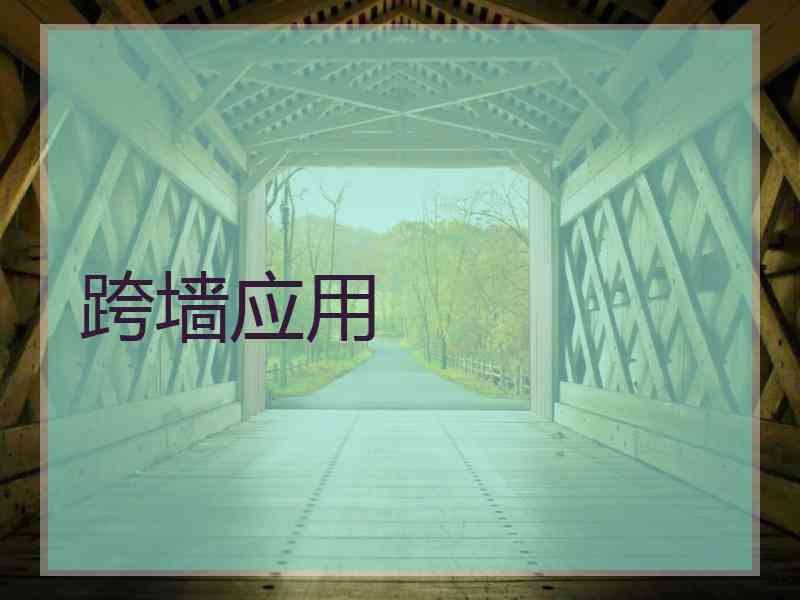 跨墙应用