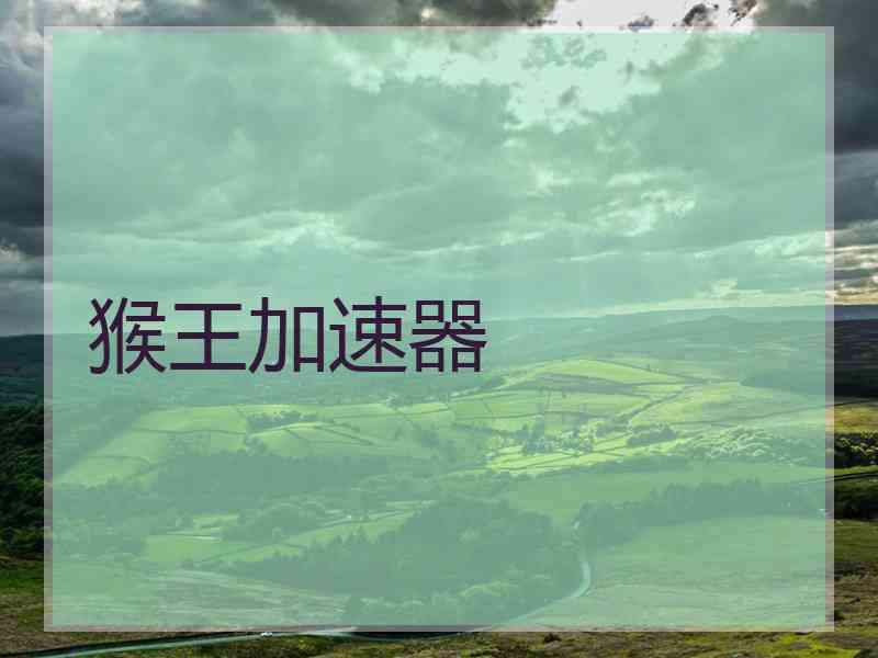 猴王加速器