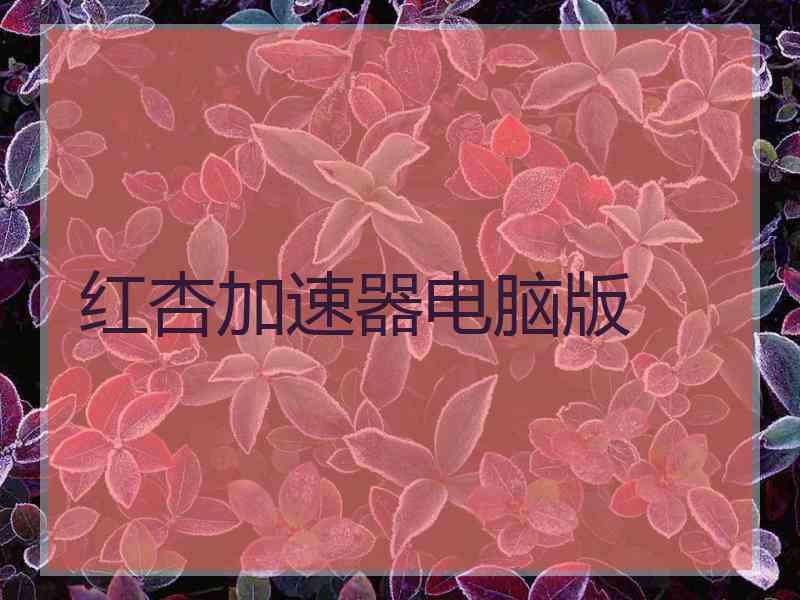 红杏加速器电脑版