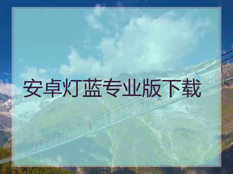 安卓灯蓝专业版下载
