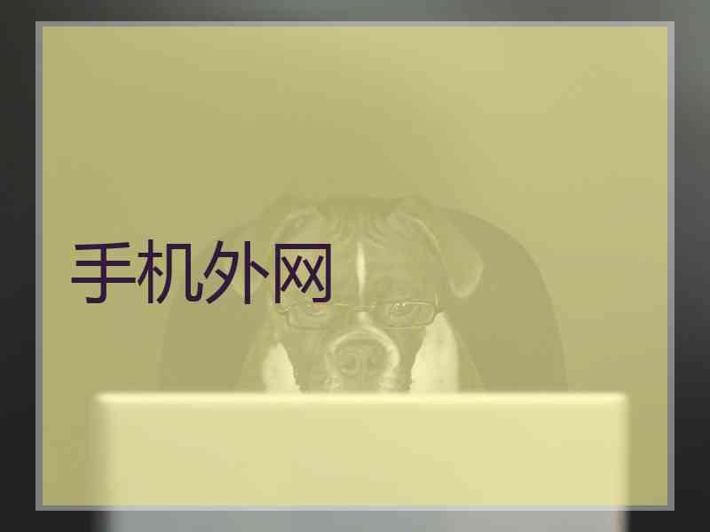 手机外网