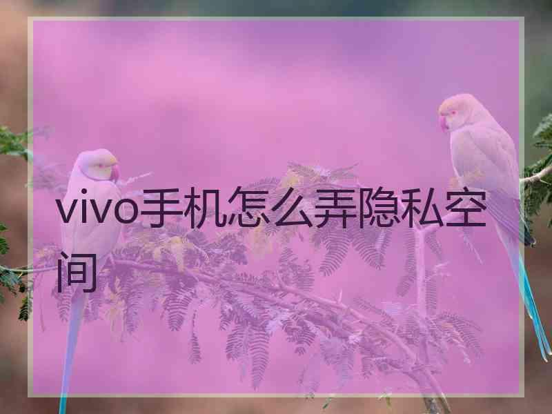 vivo手机怎么弄隐私空间