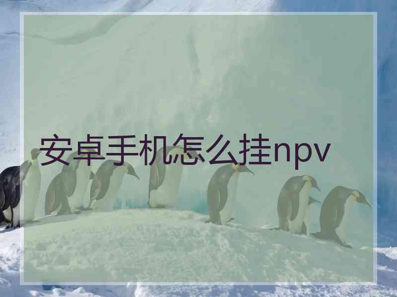 安卓手机怎么挂npv