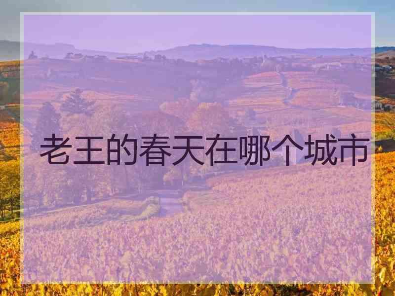 老王的春天在哪个城市