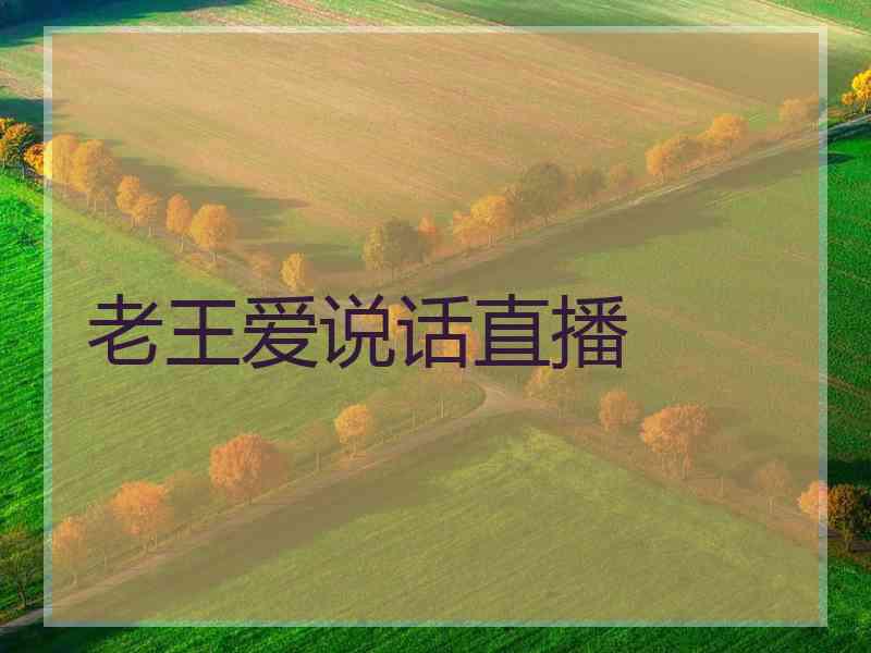 老王爱说话直播